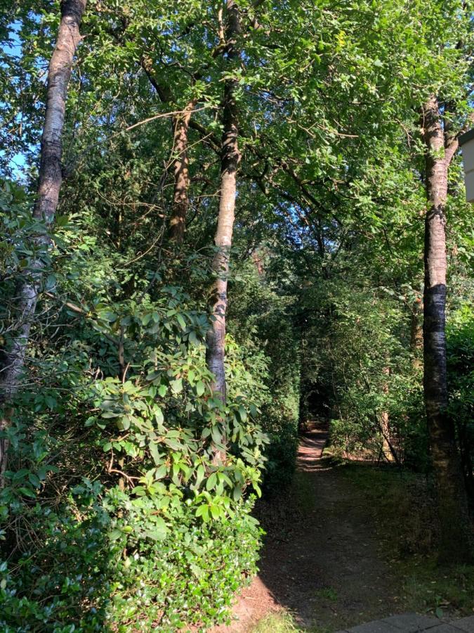 Bonte Specht: Tot Rust Komen In De Natuur! Otterlo Ngoại thất bức ảnh